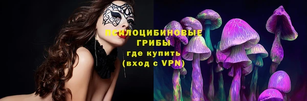 бошки Инта