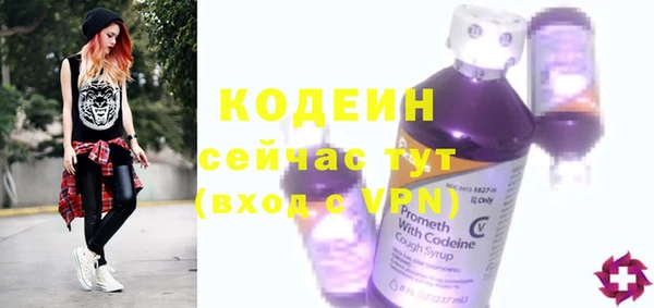 бошки Инта