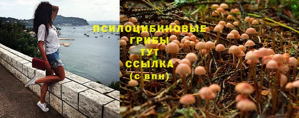 дживик Каменск-Шахтинский