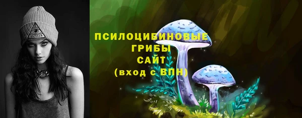 бошки Инта
