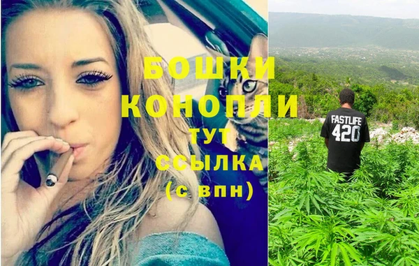 дживик Каменск-Шахтинский