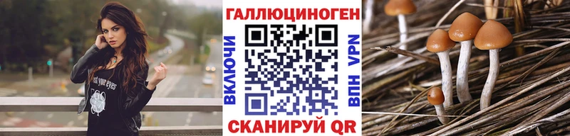 Купить  Белоярский  Галлюциногенные грибы прущие грибы 