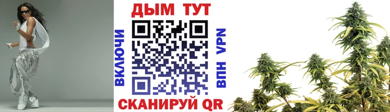 Конопля семена  Купить  Белоярский 